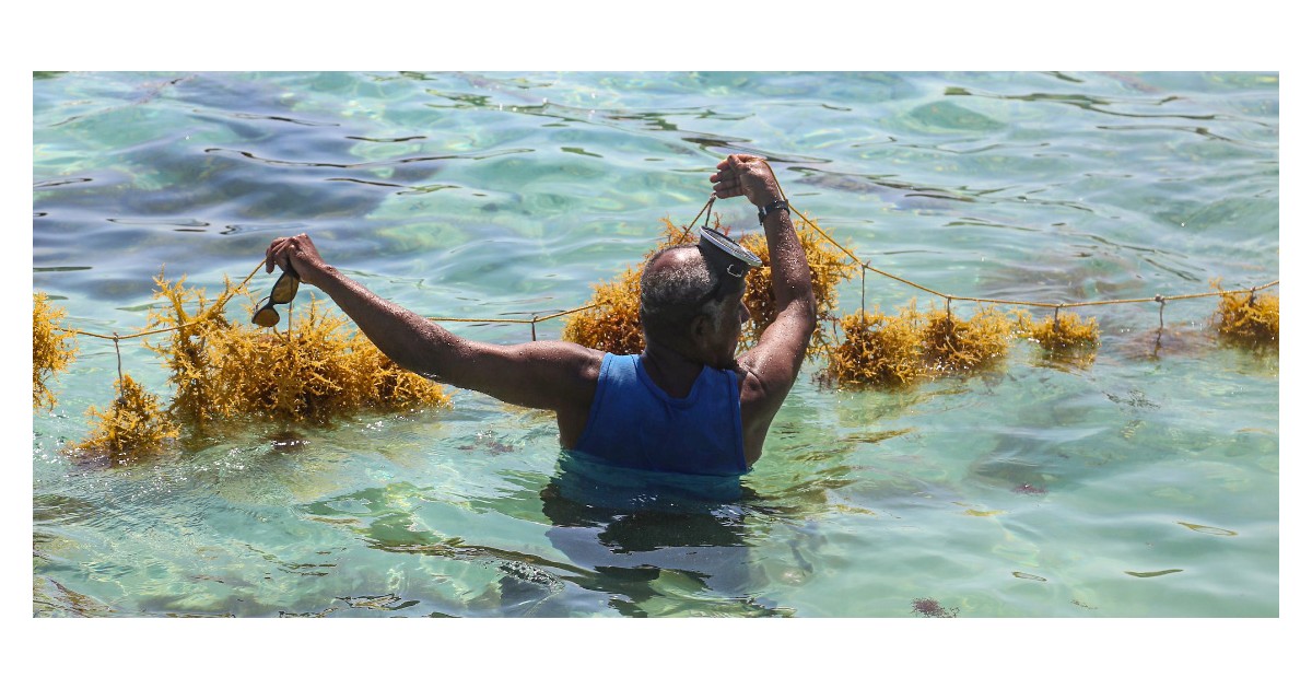 A new World Bank Group strategy for small states: Putting jobs at the center