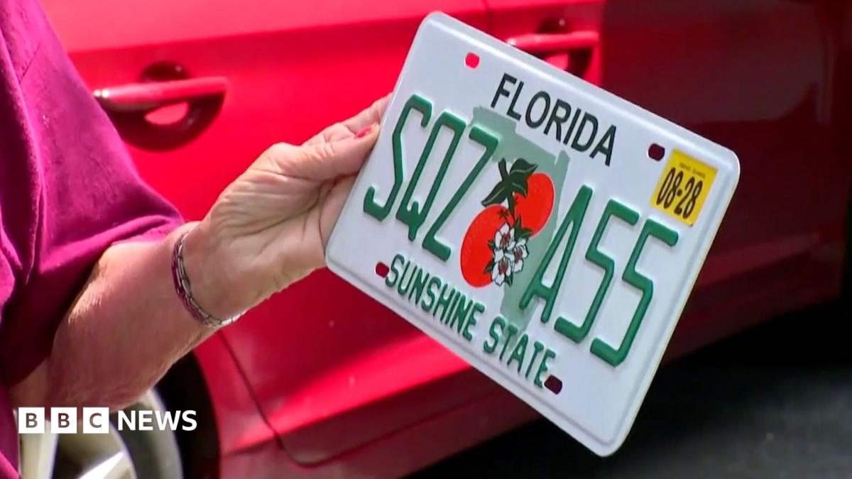 Elderly US woman shocked to receive racy new car licence plate