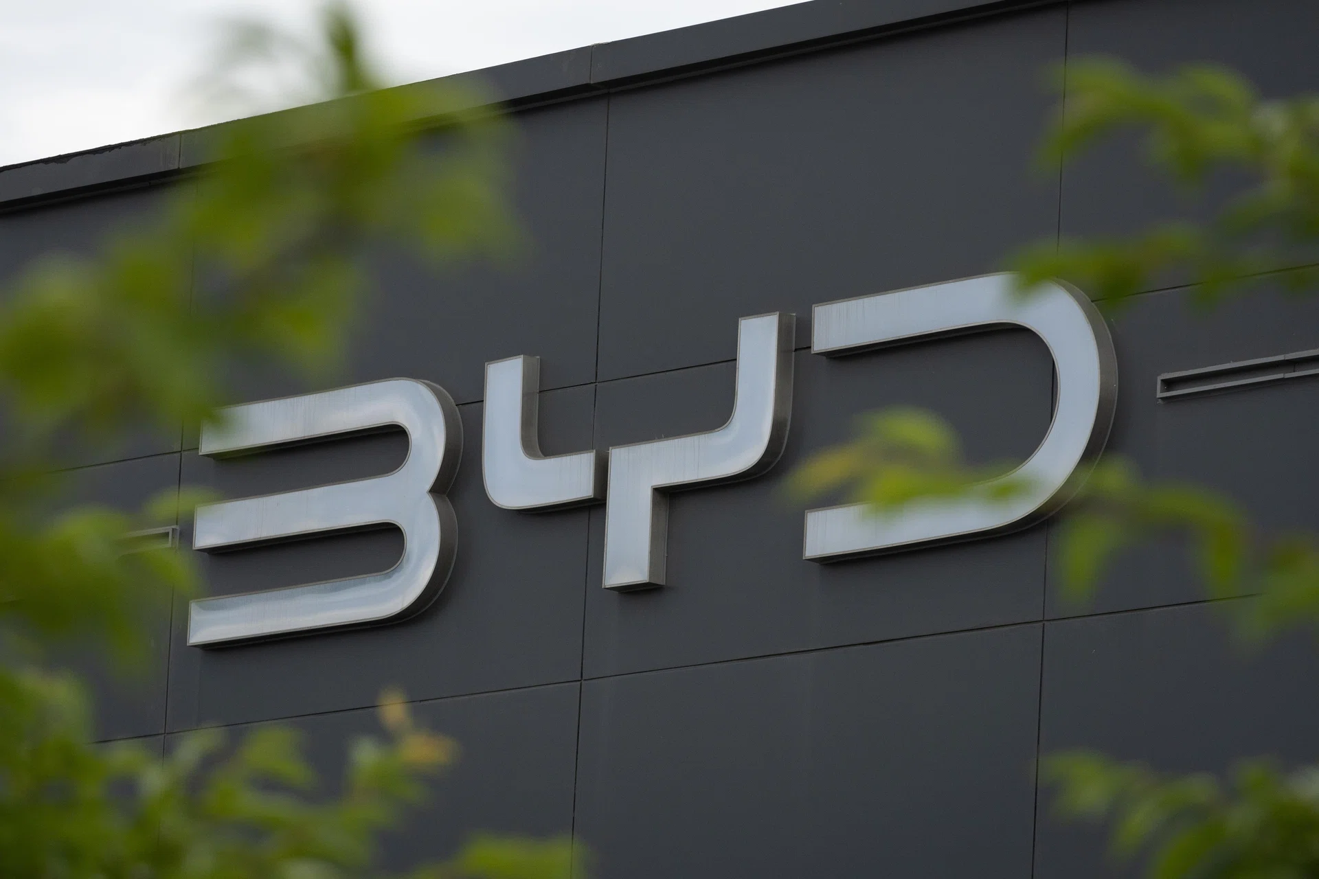 BYD chairman says firm will be world’s biggest automaker in five years as shares slide