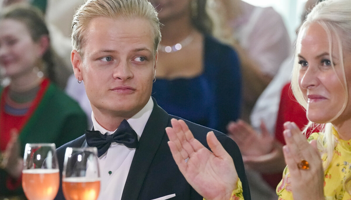 Erkjenner straffskyld