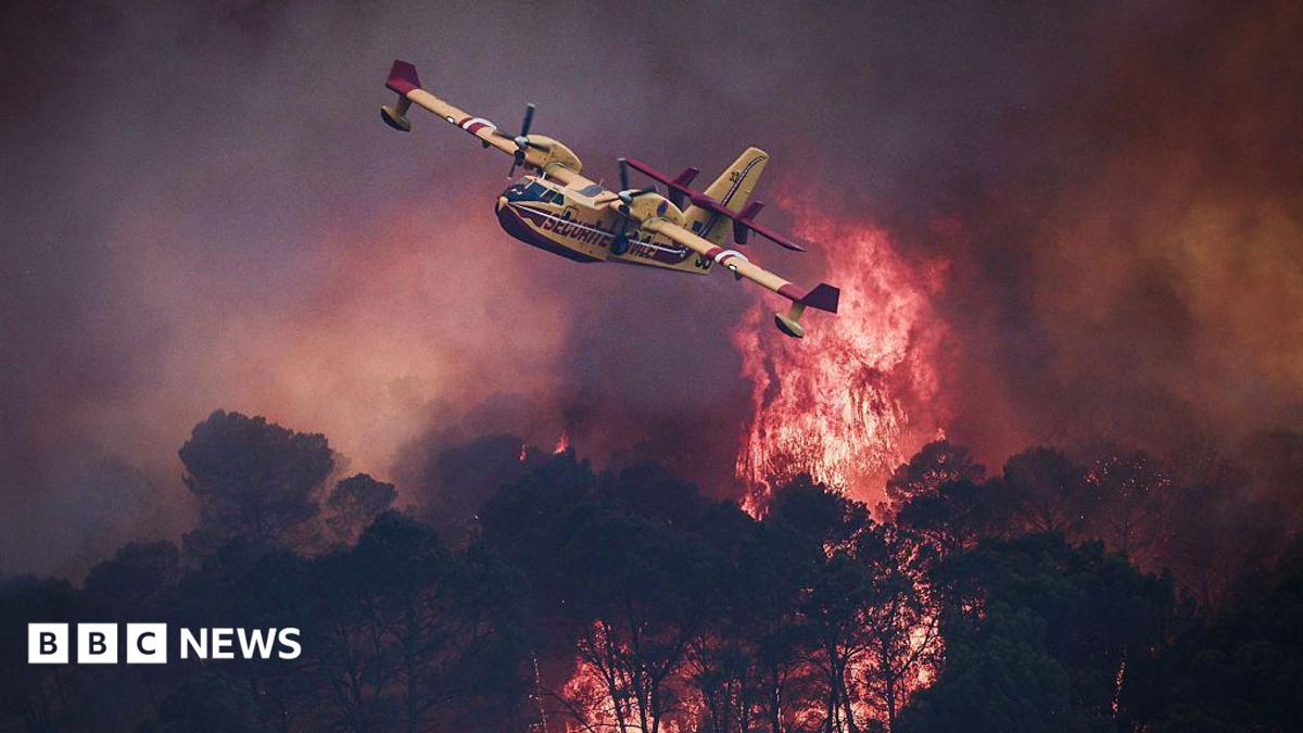 Devastating European wildfires in maps - and how they're being tackled