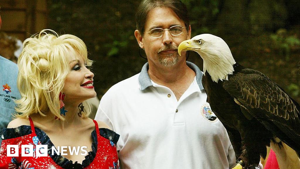 The race against time to find eagles escaped from Dollywood