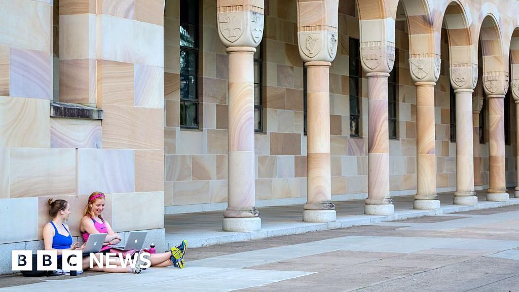 Aboriginal children's book pulled over illustrator's Bondi attack comments