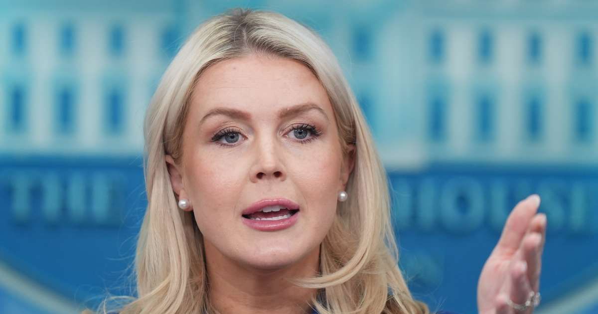 Trump threatens NATO exit ahead of Rutte talks as Leavitt says 'they turned their backs'