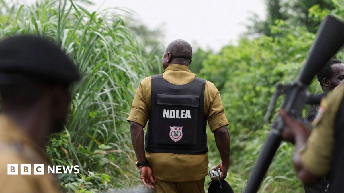 How Mexican drug cartels have outsourced meth labs to Nigeria