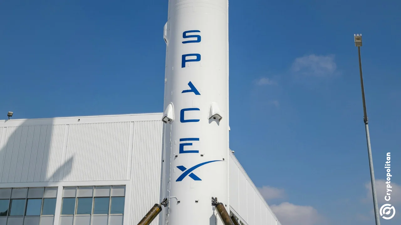 SpaceX tells investors its AI ambitions may require building GPUs in-house