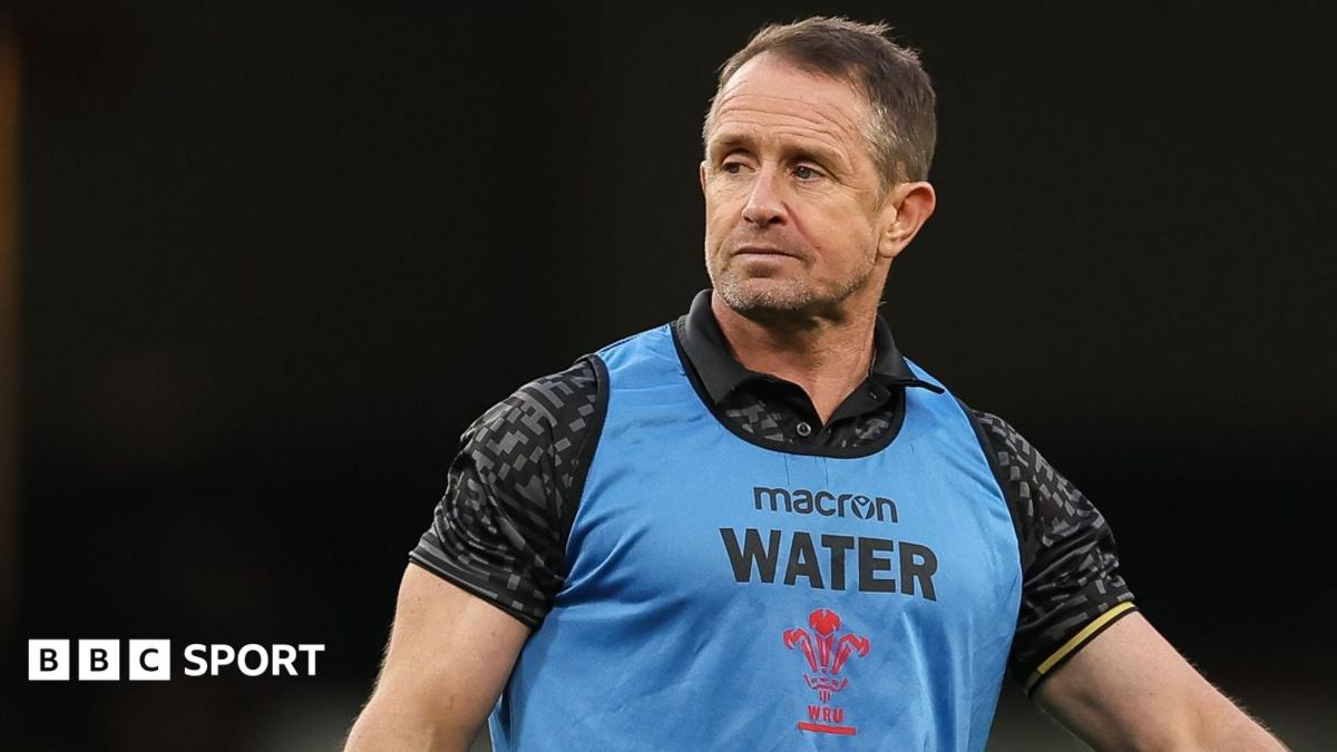 Williams warns WRU on 'almost non-existent' student support