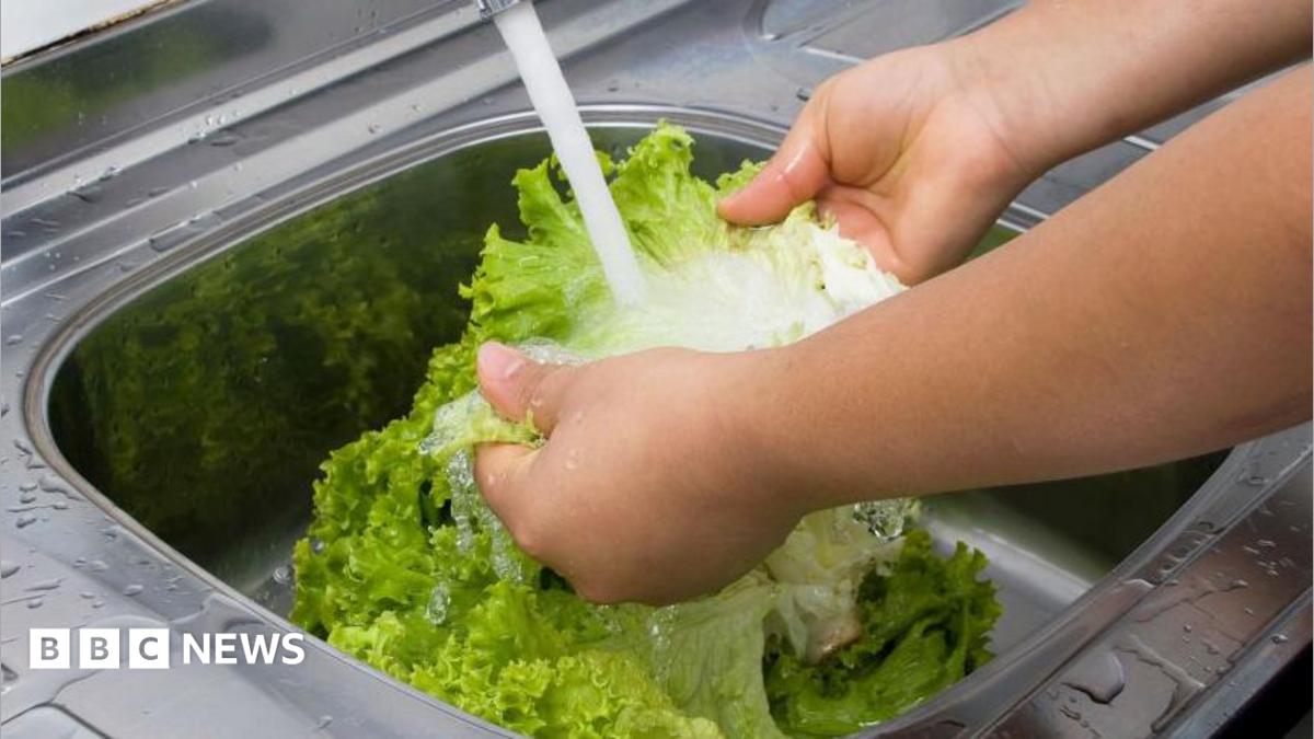 US reports first two deaths linked to  'explosive diarrhoea' outbreak