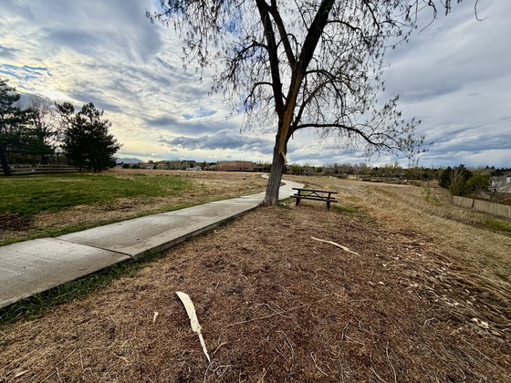 Lightning Strike Victim in Superior is Unidentified