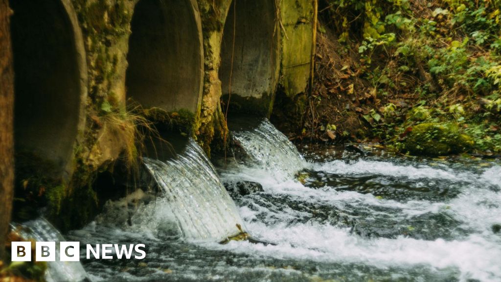 Water company to pay £45m after 'unacceptable' sewage breaches