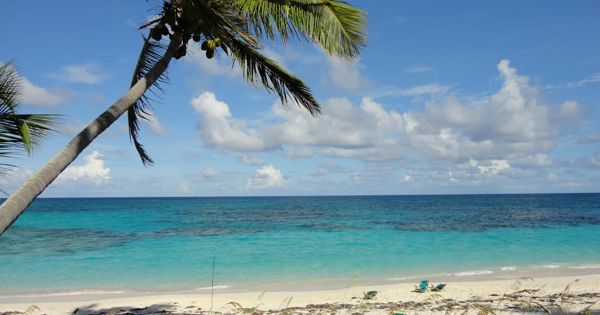 Missing American who reportedly fell off boat in the Bahamas identified as Michigan woman