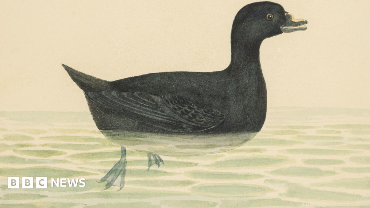 Welsh ceramicist watercolours expected to fetch up to £25,000 at auction