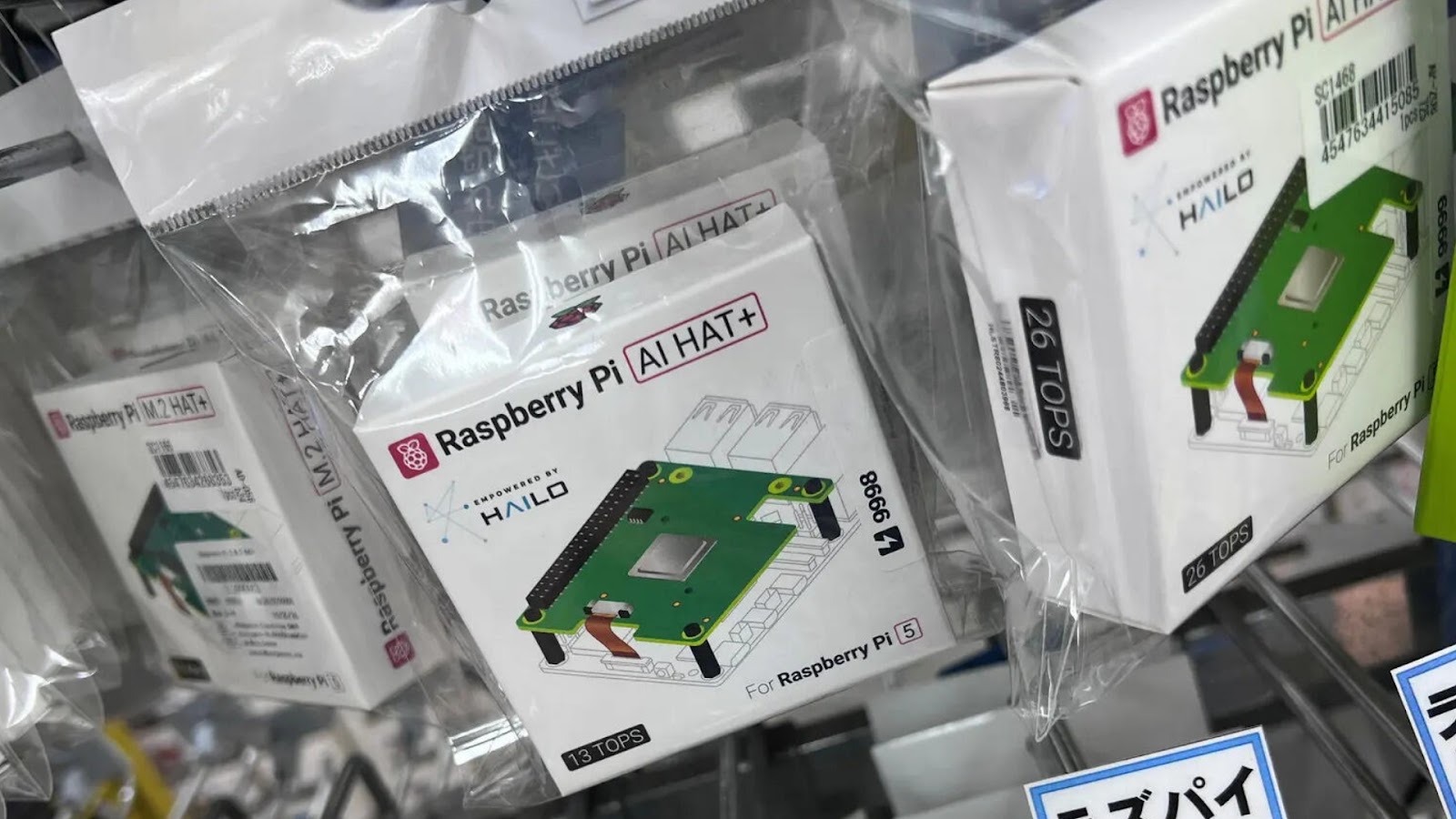 Raspberry Pi Raises Profit Outlook as AI Demand Fuels Surge in Hardware Sales