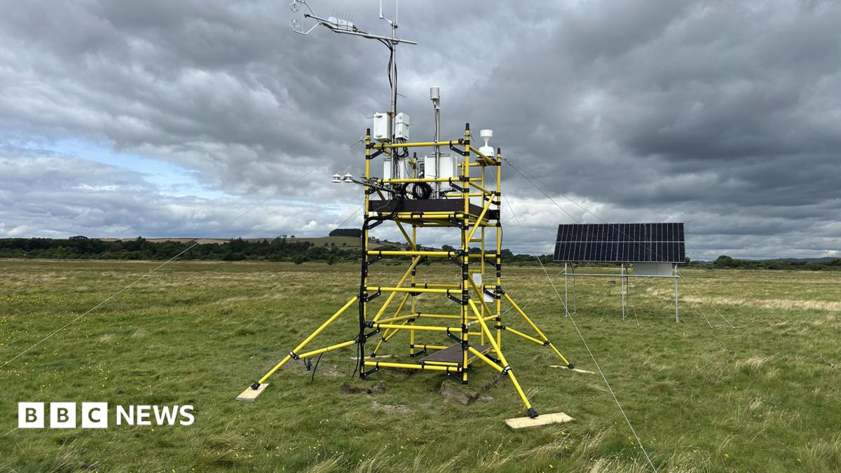 Carbon tracking tower put on Scotland's largest saltmarsh