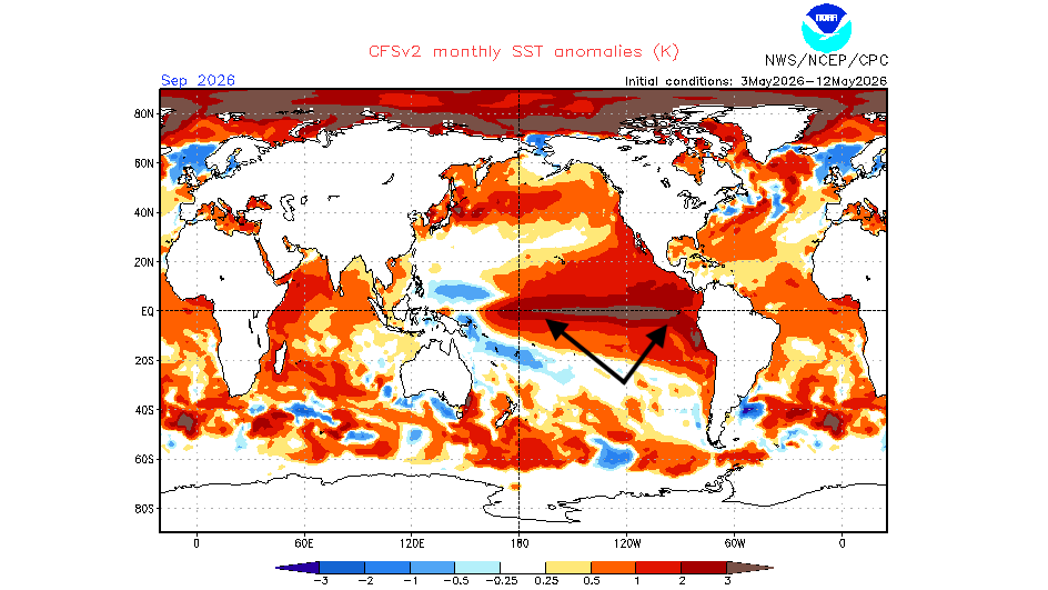 El Niño Could Form In June, NOAA Says, And Could Become Record Strong