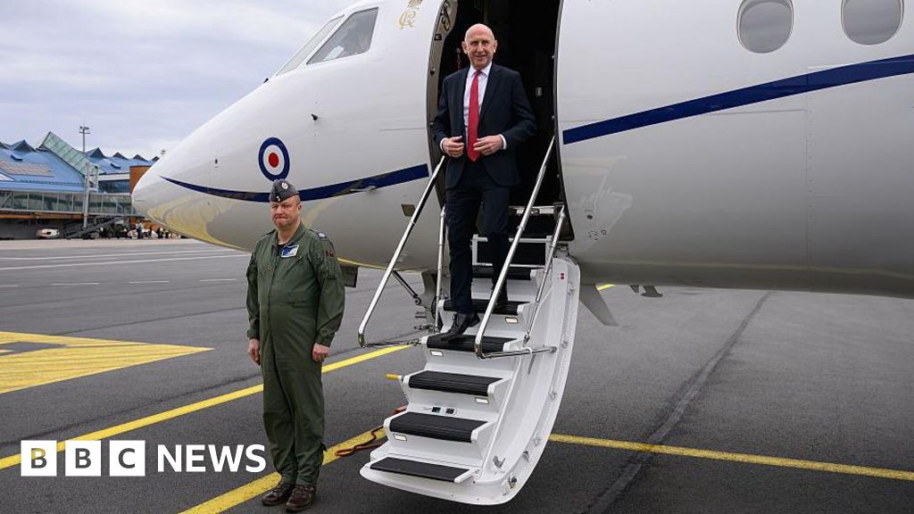 RAF jet carrying defence secretary has signal jammed near Russian border