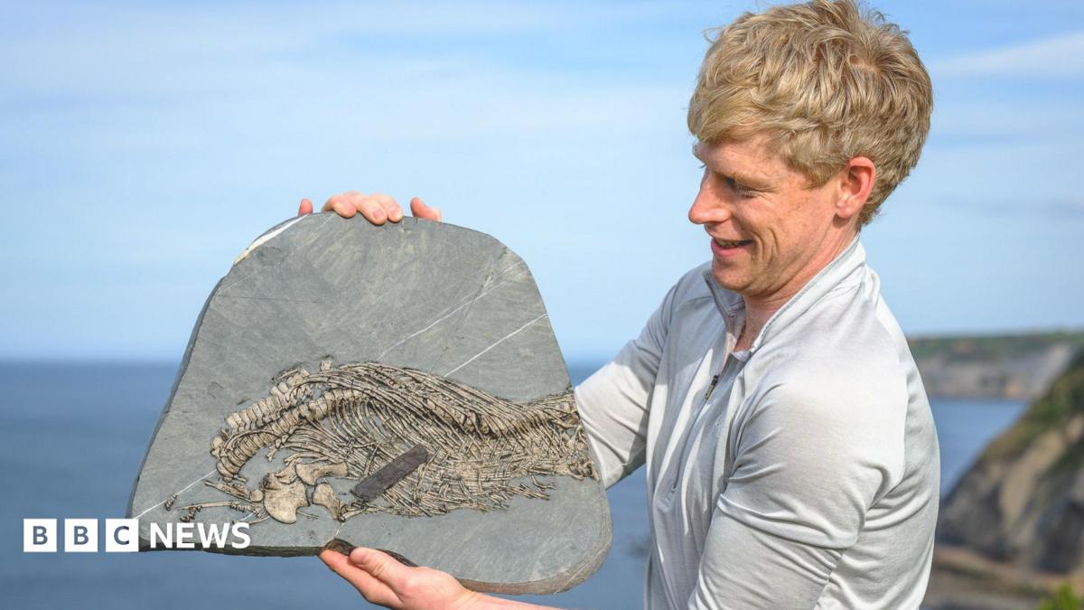 Mountaineer who began fossil hunting after near-death experience discovers rare 'sea dragon'