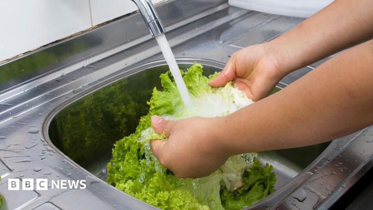 What to know about 'explosive diarrhoea' parasite outbreak in US