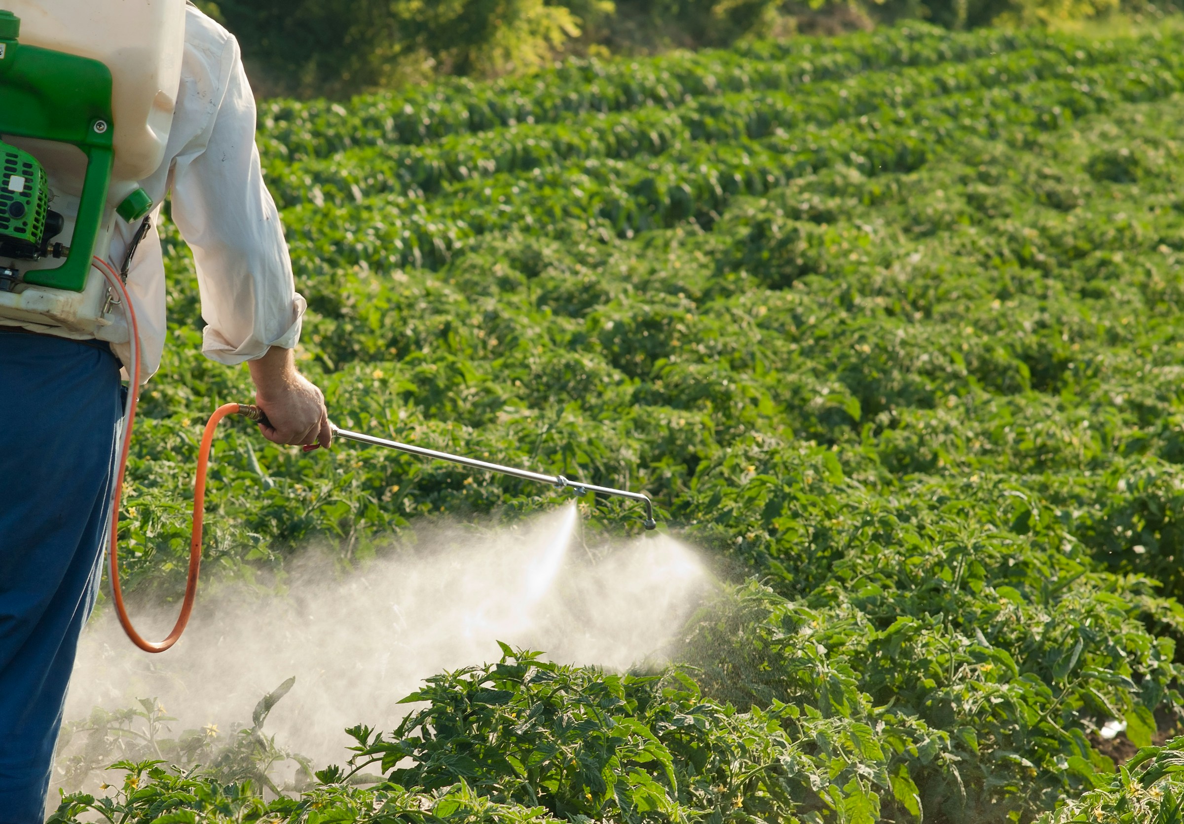 In a MAHA win, House passes Farm Bill stripped of language that would have protected pesticide companies