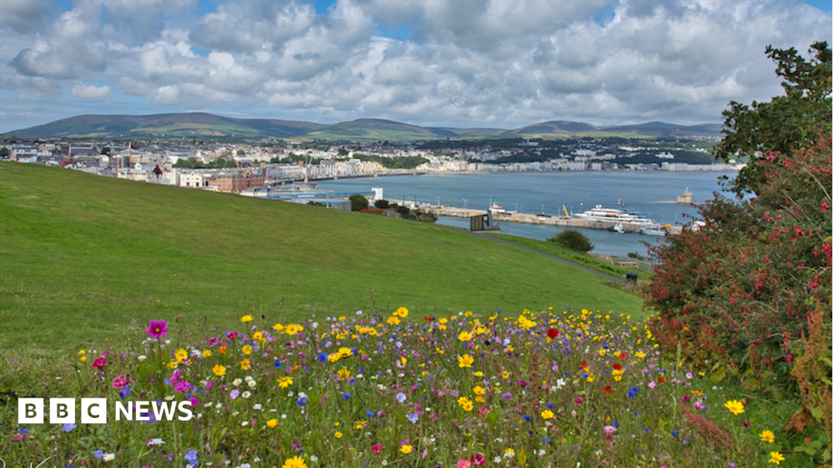 Douglas Head designated a Conservation Area