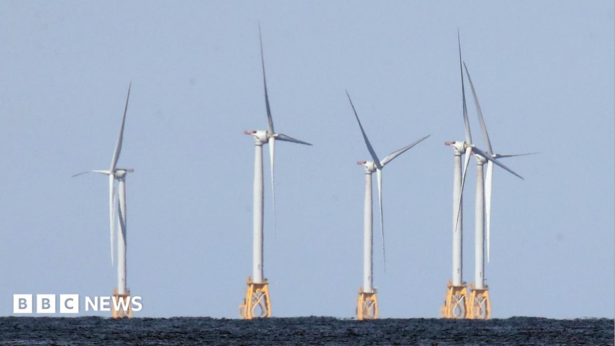 US strikes $1.2bn deal to pay German firm to halt offshore wind projects
