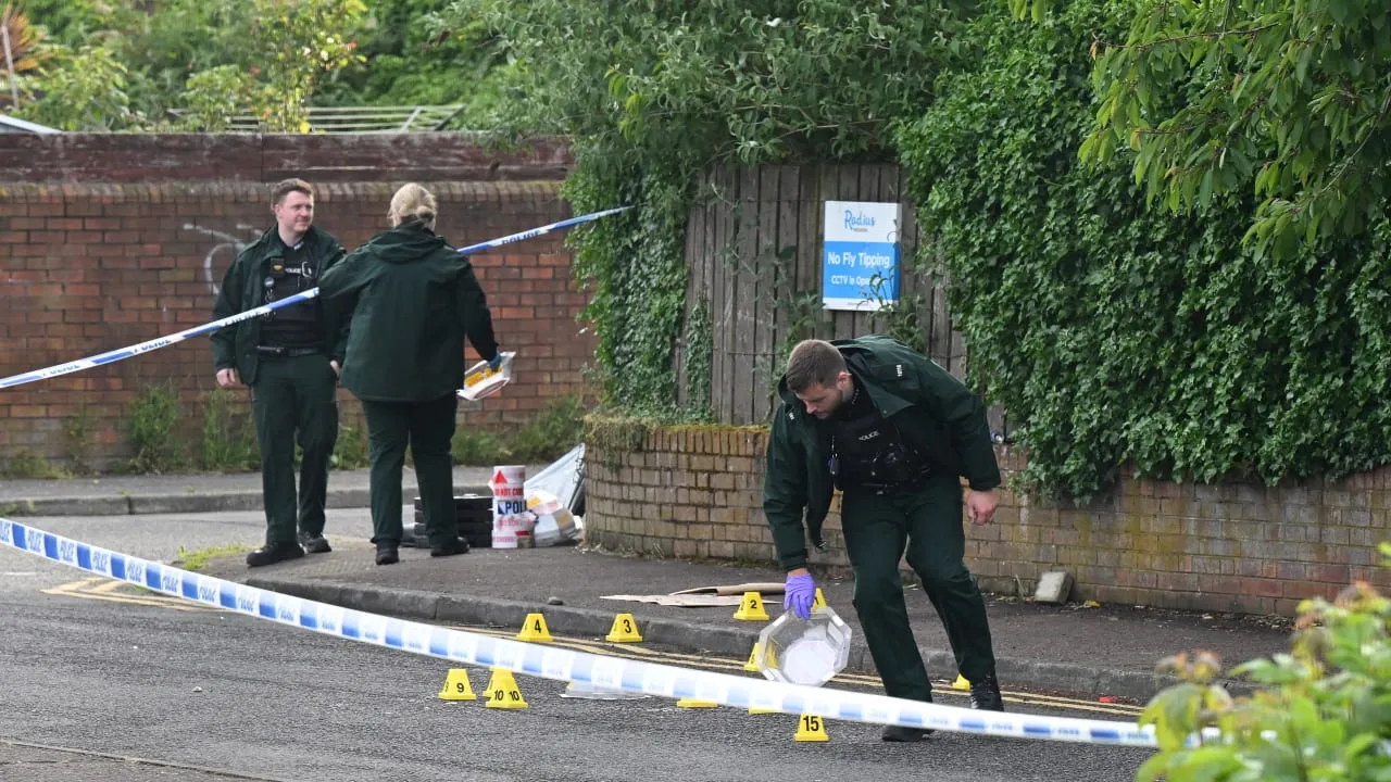 Northern Ireland police arrest Sudanese national over 'barbaric' knife attack