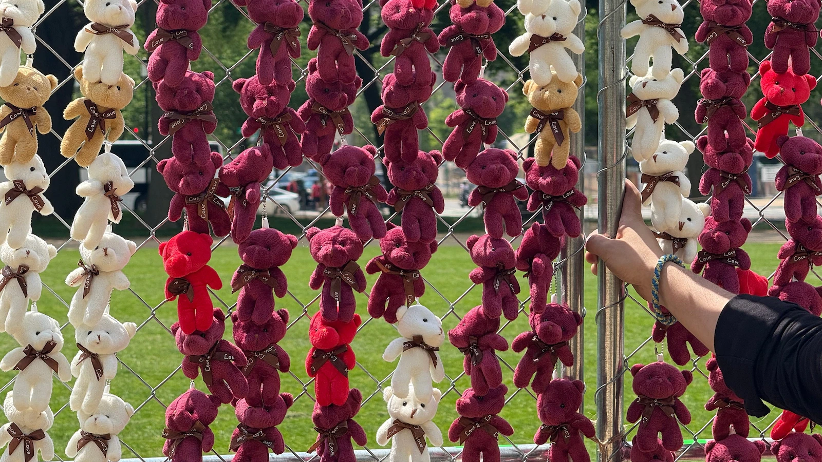 Advocates spotlight missing Ukrainian children with thousands of teddy bears