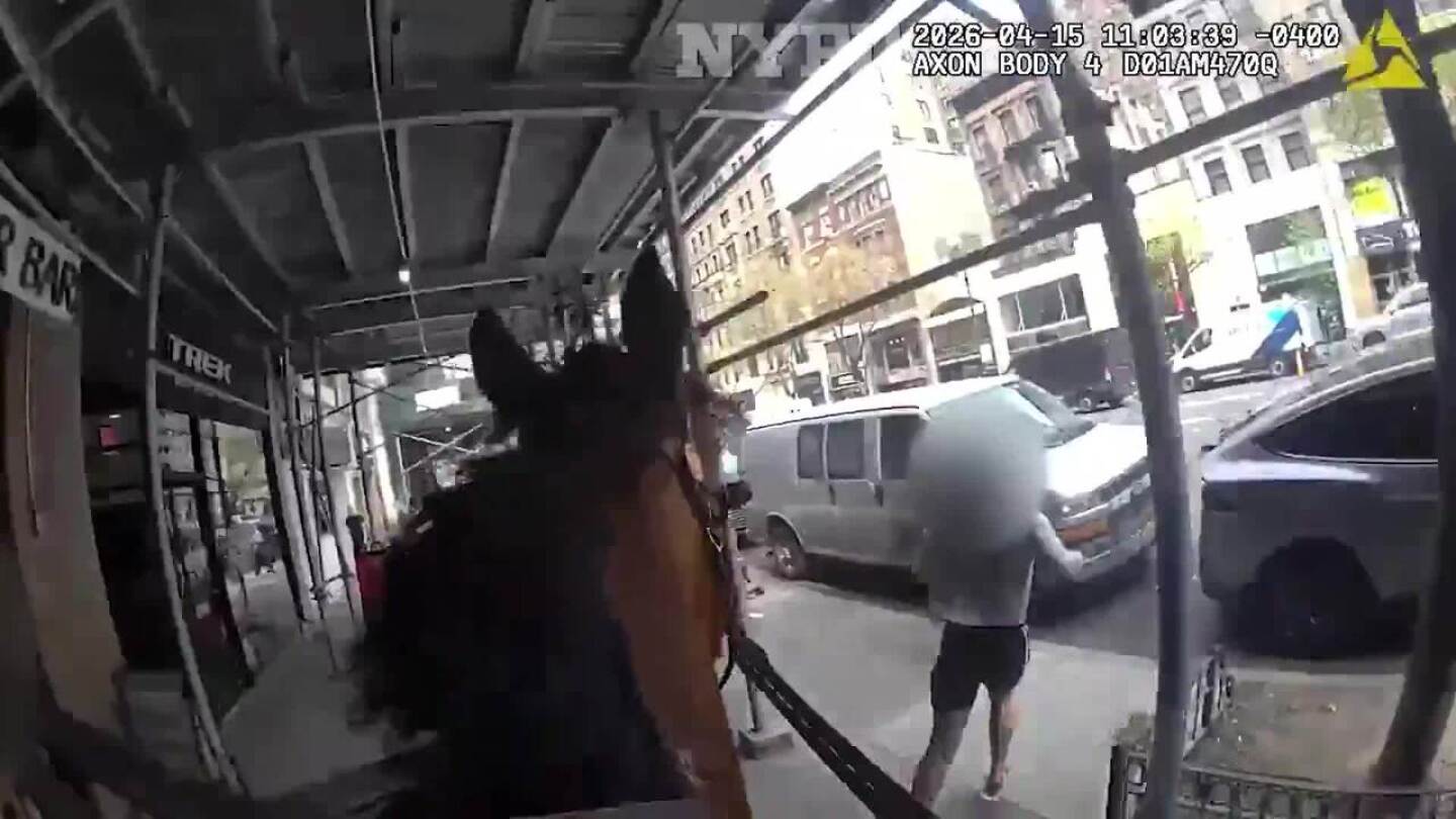 Bodycam video shows NYPD mounted unit officer, horse named Kelly, bystander nab purse-snatcher