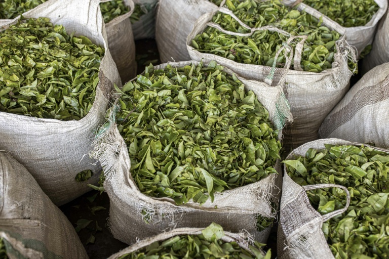 Mideast war leaves 6,000 tonnes of tea stuck at Kenya port