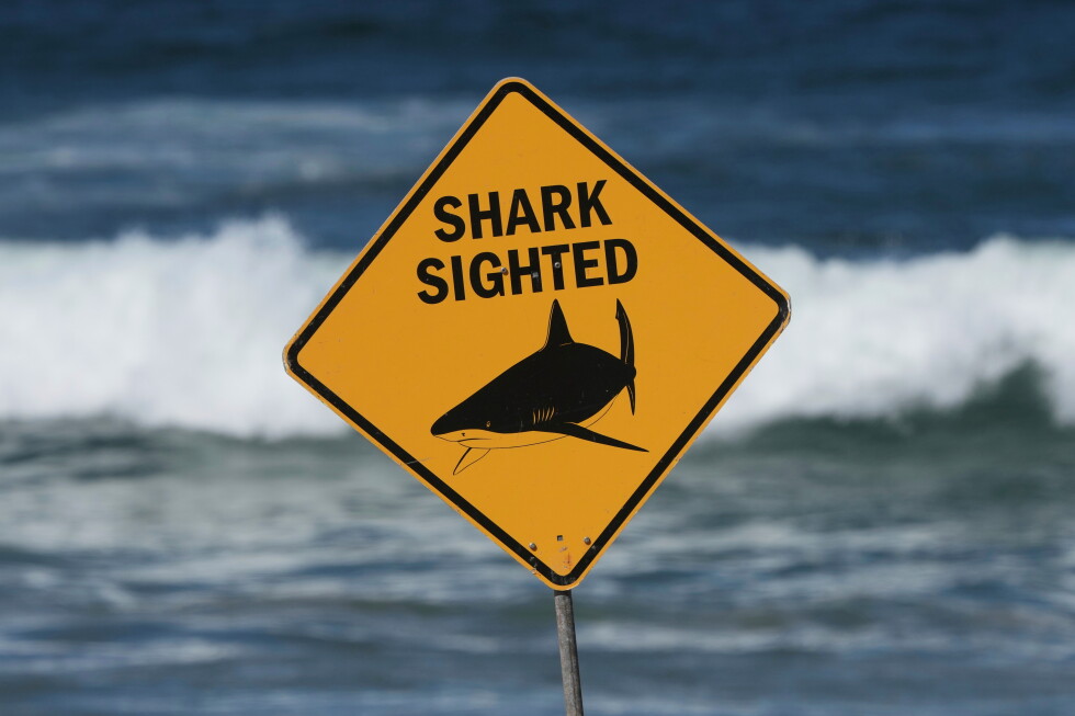 Spearfisher killed in Australia's third fatal shark attack in 4 weeks
