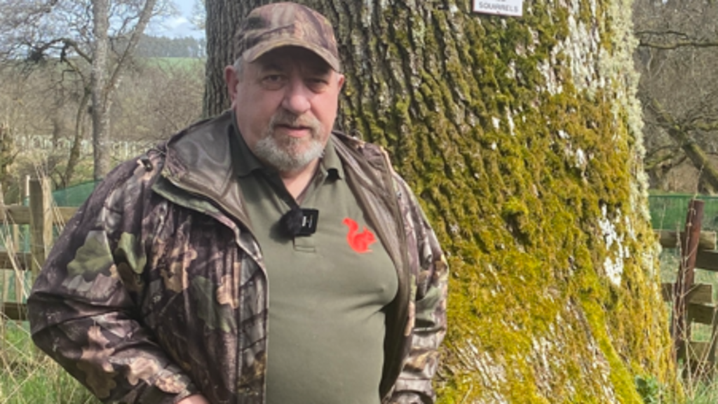 Citizen Scientists Use Remote Camera Monitoring to Protect Endangered Red Squirrels
