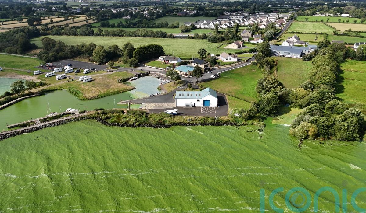 Regulations to reduce pollution ‘not doing enough to improve water quality’