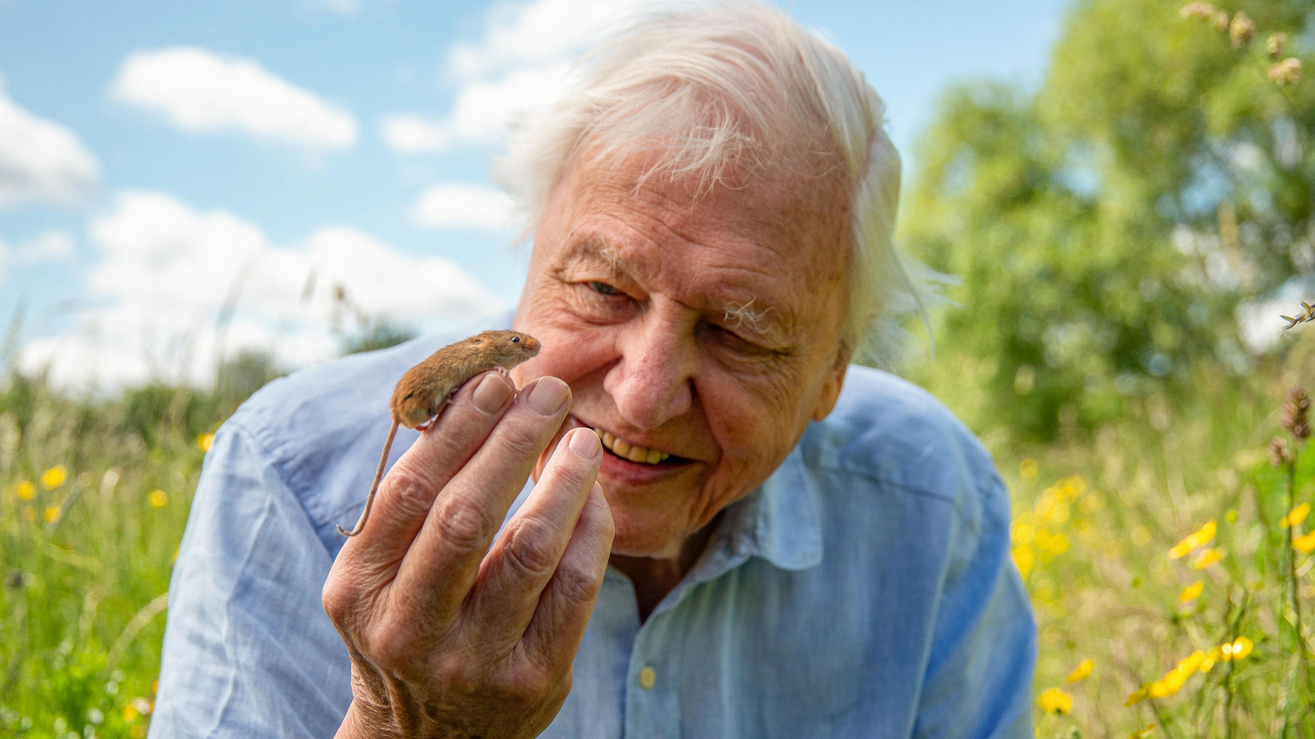 At 100, David Attenborough’s message is no longer just about wonder