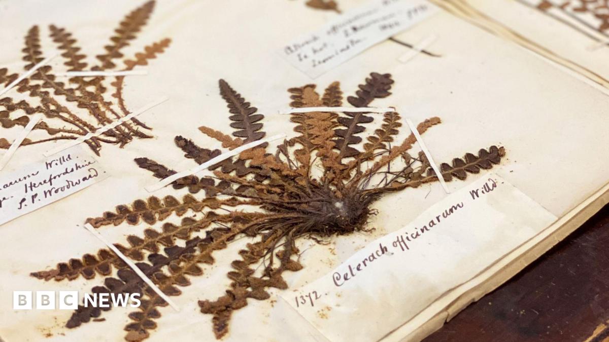 'Hidden time-capsule of UK biodiversity' unlocked