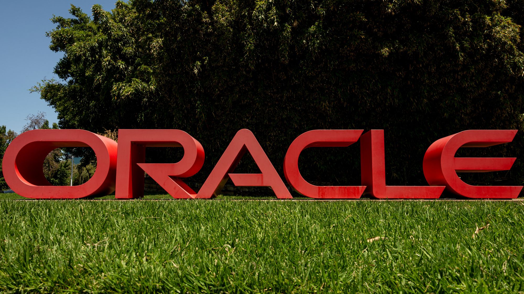 Oracle believed to have cut 10,000 positions across multiple divisions as mass layoffs begin to fuel AI investments