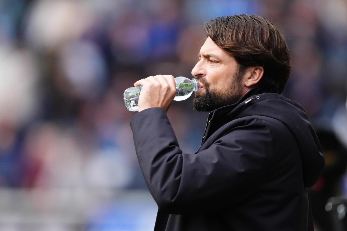 'I'm delighted' - Former Saints boss Martin confirmed as manager of League One giants