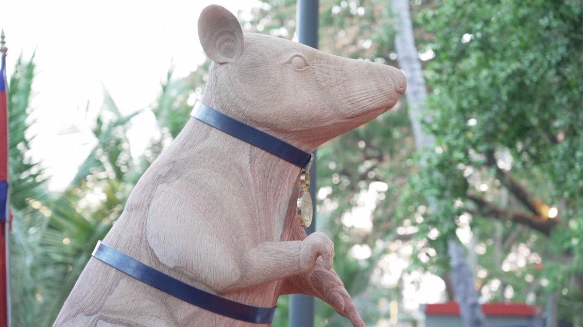 Cambodia unveils statue to honour famous landmine-sniffing rat