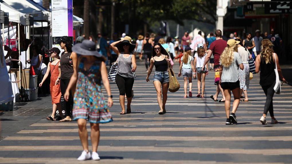 Fatbikes are wreaking havoc in Sydney's wealthy beach suburbs