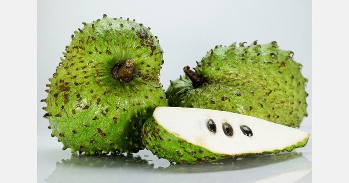Indian custard apple exports grow on hybrid varieties