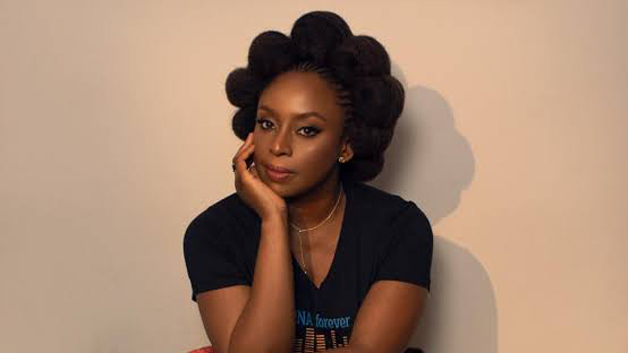 Nigerian hospital responsible for my son's death — Adichie