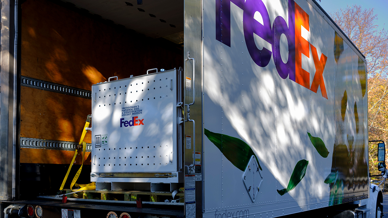 FedEx sues US government for refund of President Donald Trump tariffs