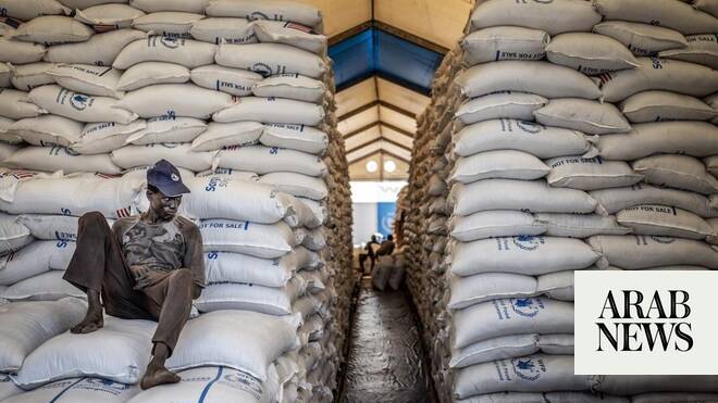 Millions of people in Sudan surviving on one meal a day as food crisis deepens, NGOs say