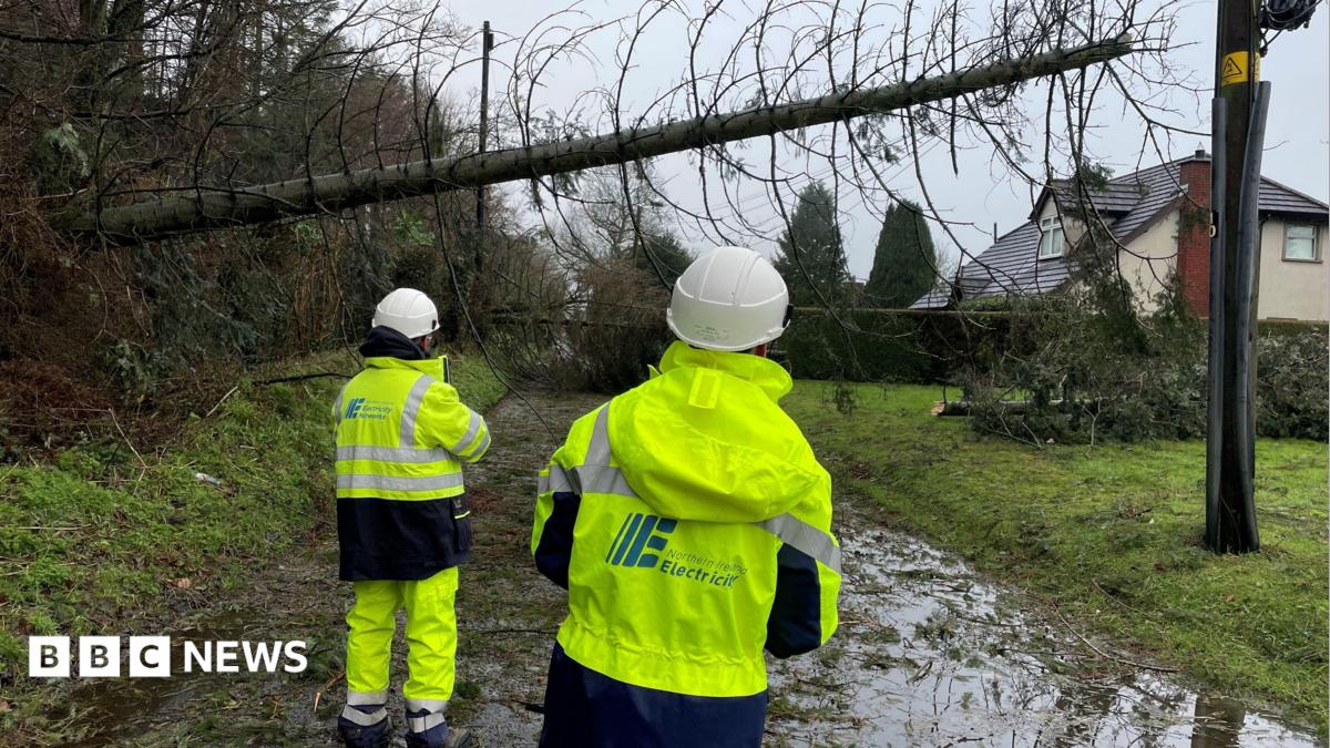 Minister to bring forward storm compensation law