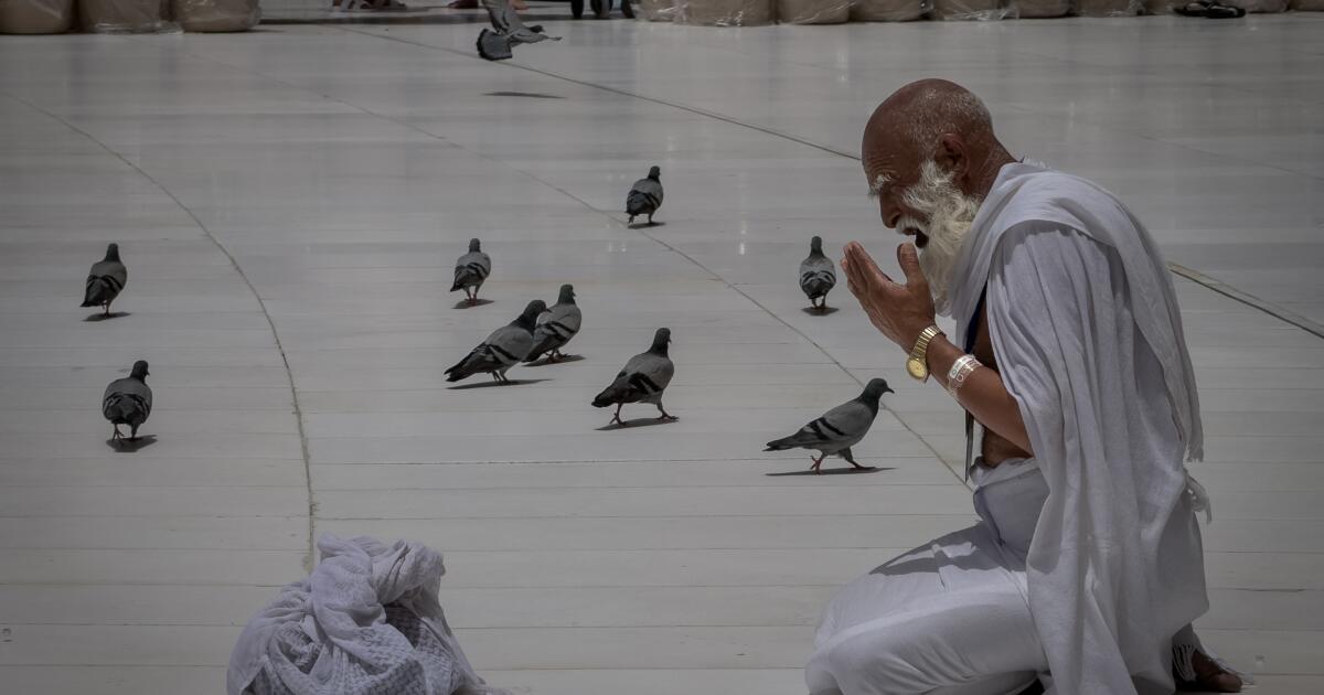 Muslims begin Hajj in sweltering heat against a backdrop of war