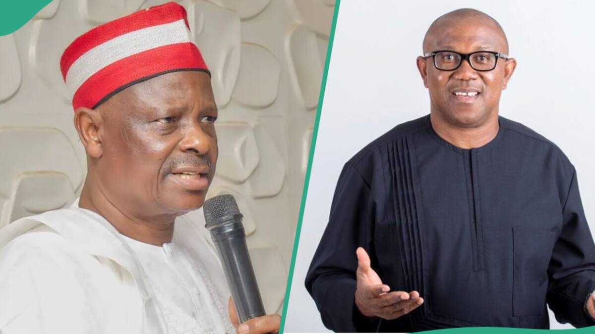 3 Reasons Peter Obi, Kwankwaso Left ADC Coalition for NDC
