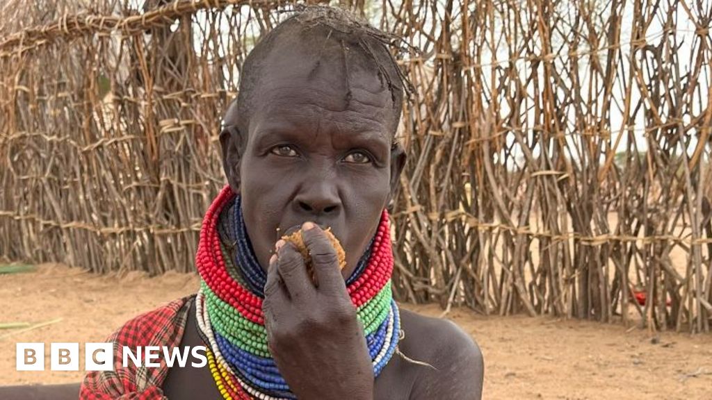 Desperate for food drought-stricken Kenyans turn to the gingerbread tree