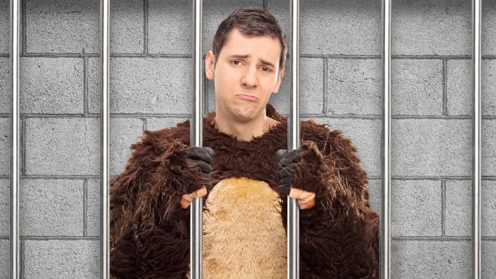 California Scammers Hit With Jail Time Over Bizarre Car Insurance Scheme Involving A Man In A Bear Suit