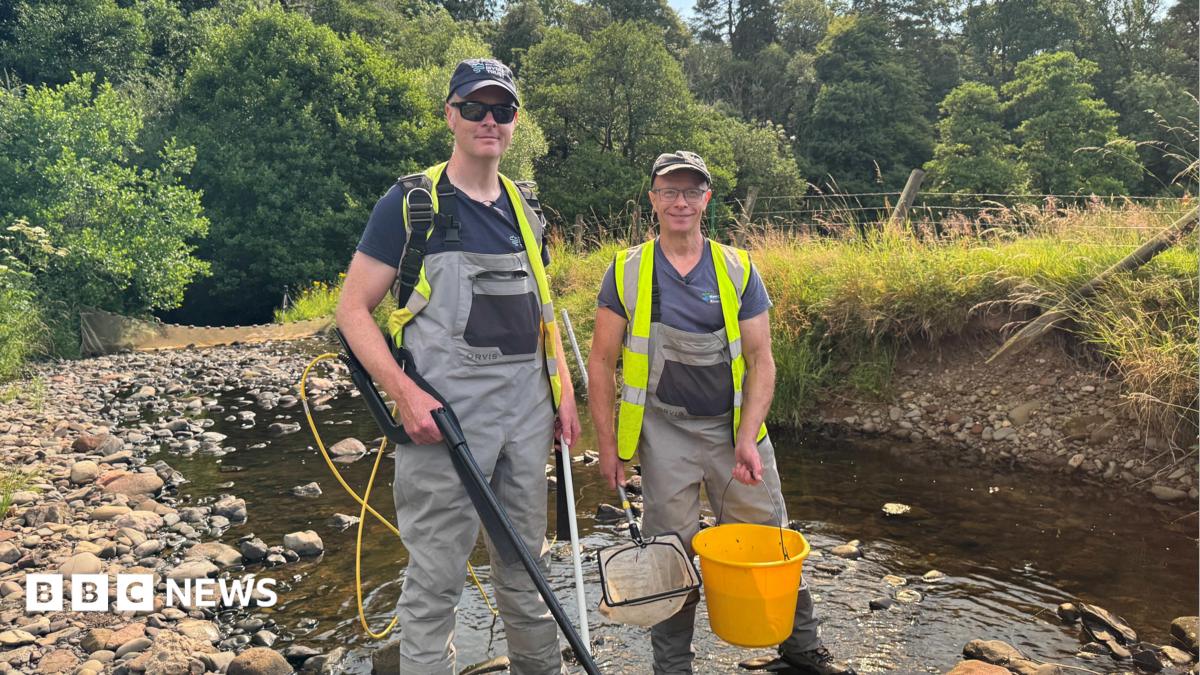 River work to help critically endangered eels