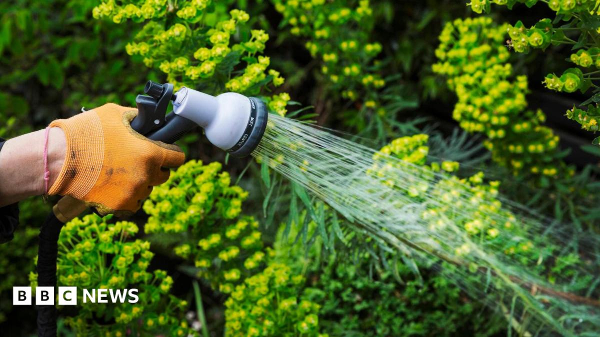 Everything you need to know about the hosepipe ban