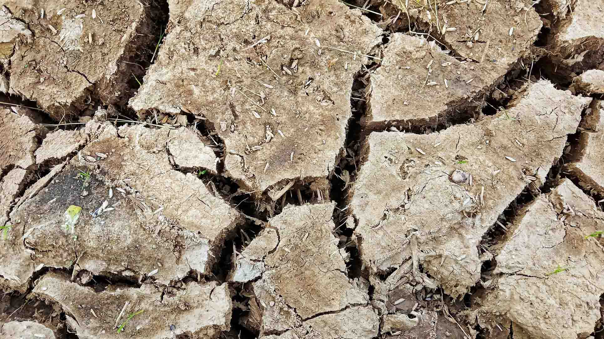 UN warns El Niño is 'arriving on our doorstep,' urges world to prepare